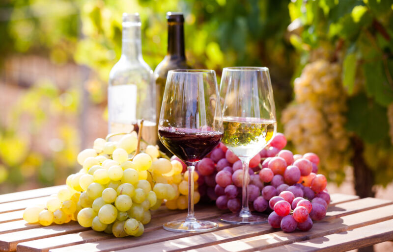 French Wine Maker Chooses Infor to Ferment New Business Process Management